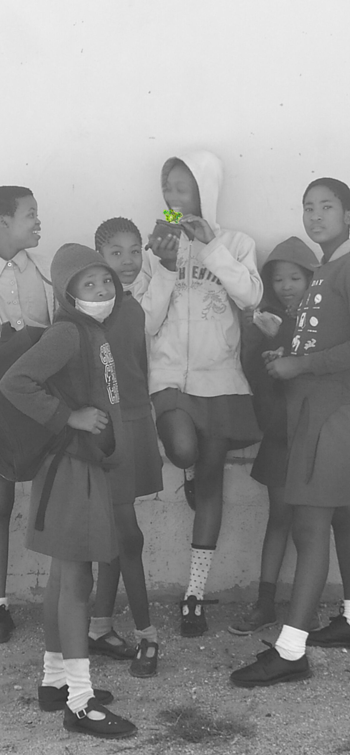 Intrigerende foto die schoolmeisjes laat zien met hun Moringa